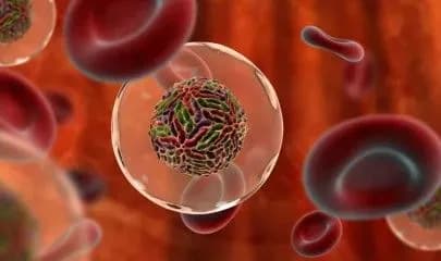 Черговий спалах гепатиту А серед дітей зафіксували на Житомирщині