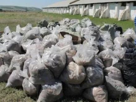 Небезпечні пестициди відправлятимуть на утилізацію за кордон — експерт