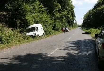 Близько 6 млн грн коштуватиме Дніпру крематорій для централізованої утилізації збитих насмерть тварин