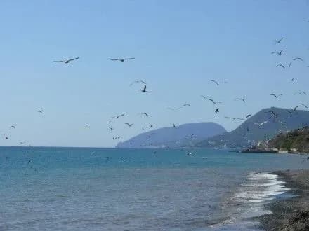 Перша україно-грузинська експедиція невдовзі представить результати дослідження акваторії Чорного моря