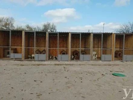 У Херсоні відкрили оновлений притулок для собак