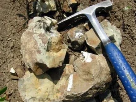 У Держгеонадрах назвали основні причини дефіциту кваліфікованих геологів у країні