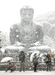 Вперше за 54 роки в Токіо випав сніг в листопаді