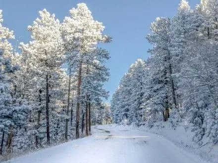 Сьогодні в Києві падатиме сніг