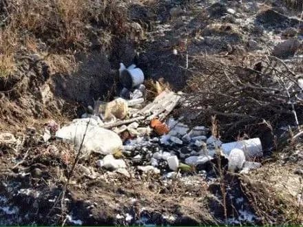 Вбивцю розчленованого чоловіка в Маріуполі зловили за 6 годин