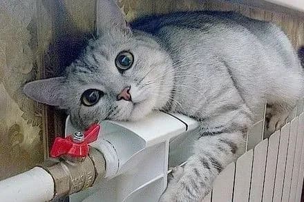 У Києві в 139 будинках на добу відключать опалення