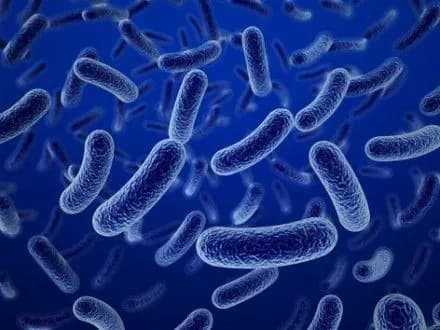 Чоловіка госпіталізували з підозрою на ботулізм на Кіровоградщині