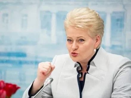 Литва підтримує Україну на всіх рівнях – Д.Грібаускайте