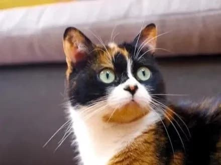 Google оприлюднив топ-10 роликів, які українці дивились у 2016-му