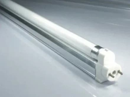 Звалище люмінесцентних ламп знайшли у лісі поблизу Броварів