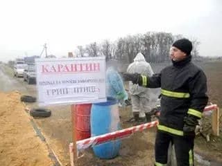 На Херсонщині ввели карантинні обмеження у двох районах через пташиний грип