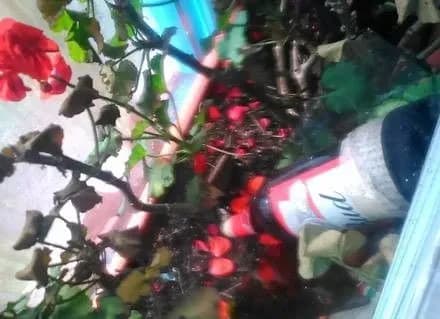 Невідомі особи жбурнули коктейль Молотова у готель у Миколаєві