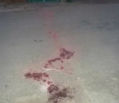 Чоловік на Одещині застрелив знайомого з рушниці