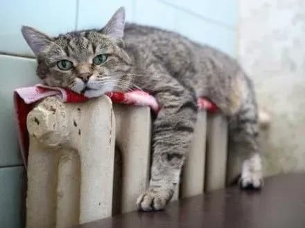 Через неякісну теплосистему втрачається близько 60 % палива - Г.Зубко