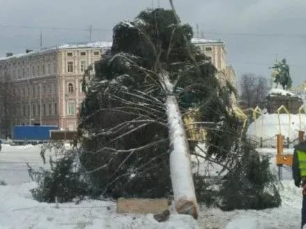 Головну ялинку країни демонтували