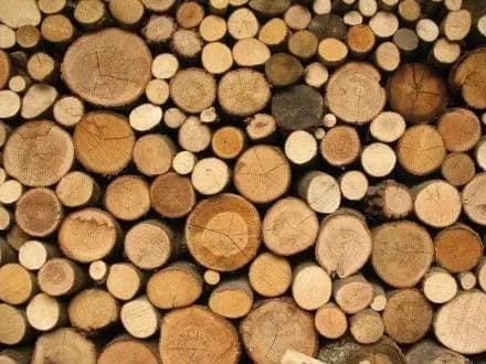 Злочинну групу, що "відмила" більше 44 млн грн на експорті лісу викрили на Вінниччині