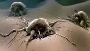 Лікар: Онкоскринінг - це не лікування, а "техогляд" власного здоров'я