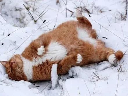 Сьогодні в Україні прогнозують похолодання та сніг