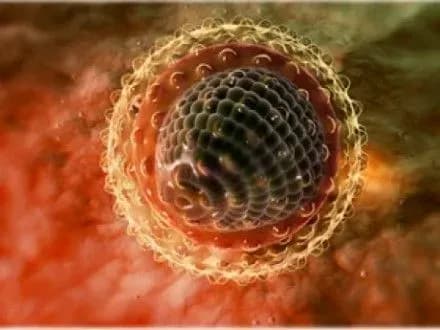 В країнах з низьким рівнем доходу, хворі на гепатит С не мають доступу до лікування  - ВООЗ