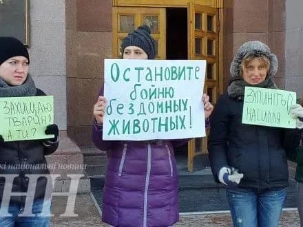 Зоозахисники влаштували акцію на підтримку котів біля КМДА