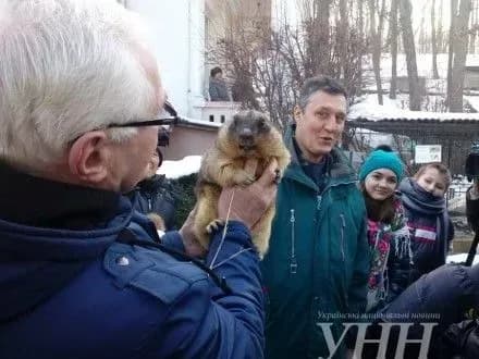 Львівський бабак спрогнозував ранню весну