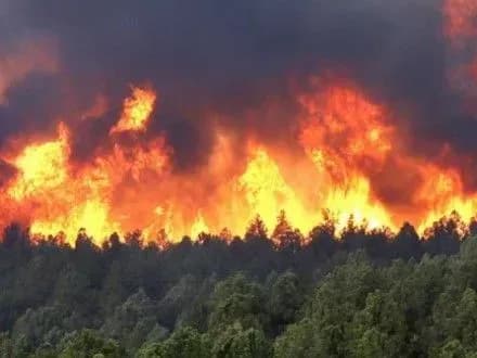 Близько тисячі людей евакуйовано через пожежі у Новій Зеландії