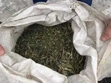 Домушника із наркотиками на півмільйона гривень затримали на Київщині