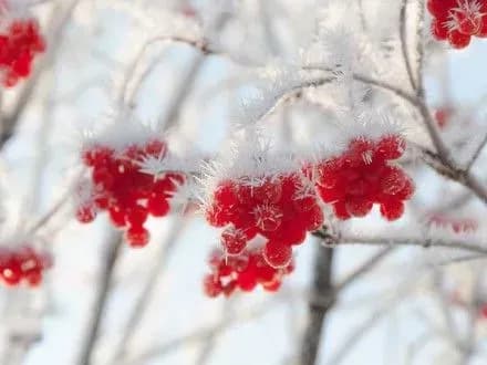 Сьогодні в столиці йтиме мокрий сніг і дощ