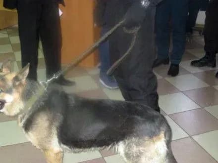 Взрывчатки в помещении суда в Одессе не обнаружили