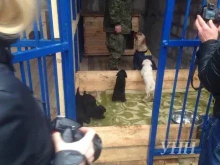 У Маріуполі відкрили один з найбільших кінологічних центрів в Україні