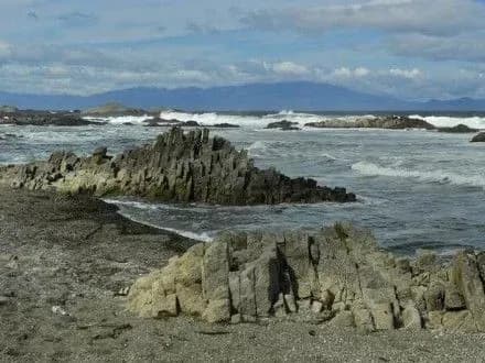 Уряд Японії розкритикував плани РФ розмістити дивізію на Курилах