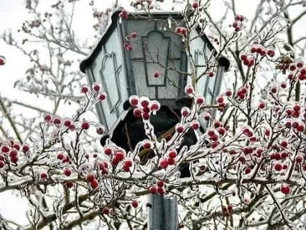 Українців на вихідних очікують морозні ночі - Укргідрометцентр