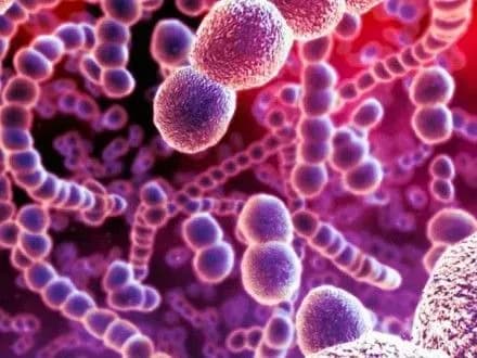 ВООЗ назвала найбільш небезпечні для людини бактерії