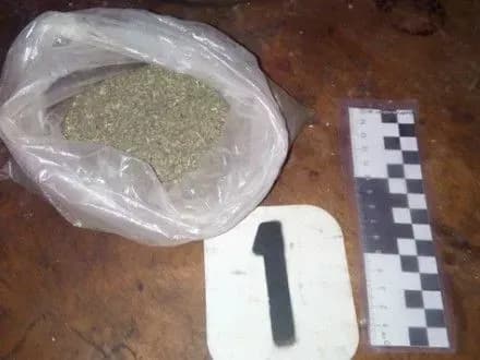 У жителів Одещини правоохоронці вилучили наркотики та вибухівку
