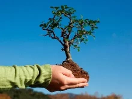 У Хмельницькому збиратимуть макулатуру заради озеленення пришкільних майданчиків