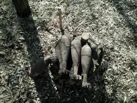 В Запорожской области нашли несколько снарядов прошлых войн