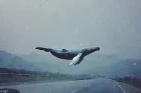 Поліція щодня перевіряє близько 15 повідомлень про участь дітей у “групах смерті”