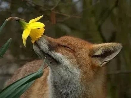 Сьогодні в столиці опадів не очікується