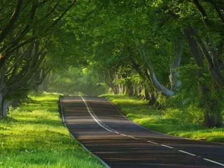 Дві системи здійснюватимуть незалежний інженерний контроль за якістю доріг - В.Омелян