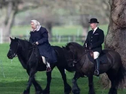 Королева Єлизавета ІІ проїхалася на поні у Віндзорському замку