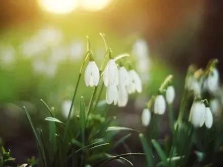 Синоптик розповіла, якою буде погода у Міжнародний жіночий день