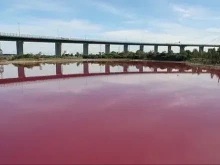 Солоне озеро в Австралії стало рожевим через зміни погодних умов