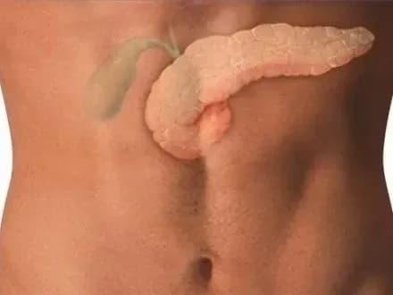 Вчені виявили гени, які підвищують ймовірність виникнення раку жовчного міхура