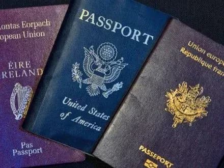 Законопроекти щодо подвійного громадянства врегулюють процедуру відповідальності чиновників - нардеп