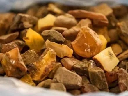 Україна офіційно заявила про відкриття бурштинового ринку