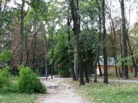 Київський підприємець незаконно облаштував ресторан в Сирецькому парку