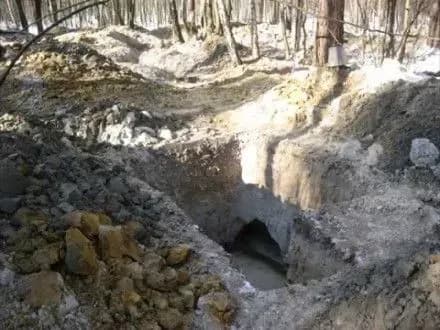 Старателі бурштину пошкодили заповідник міжнародного значення на Рівненщині