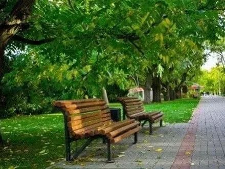 Парк відпочинку та чотири сквери з'являться в Києві