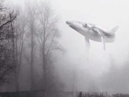 У Бахмуті врятували школярку при спробі самогубства