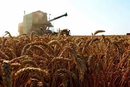 Туреччина ввела мита на товари з РФ